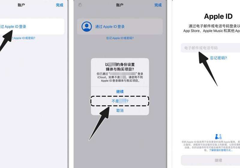 苹果设备Apple ID更改攻略：详细步骤一网打尽